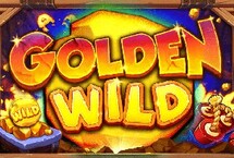 GOLDEN WILD